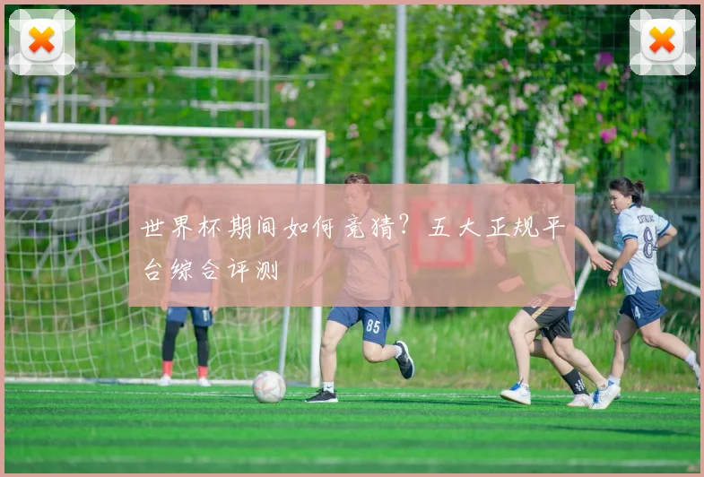 世界杯期间如何竞猜？五大正规平台综合评测