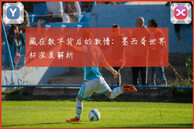 藏在数字背后的激情：墨西哥世界杯深度解析