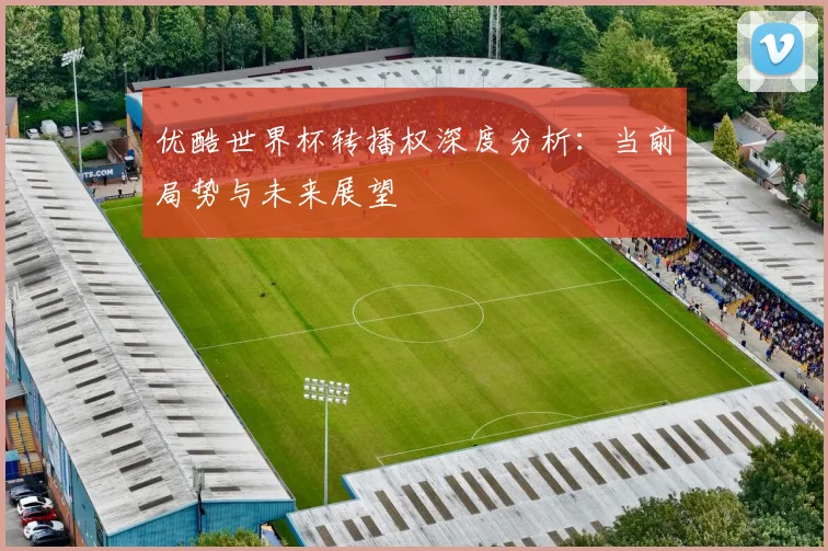 优酷世界杯转播权深度分析:当前局势与未来展望