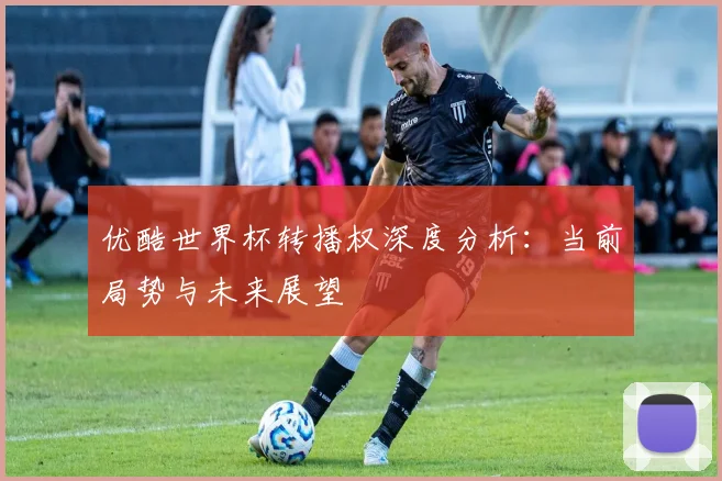 优酷世界杯转播权深度分析:当前局势与未来展望