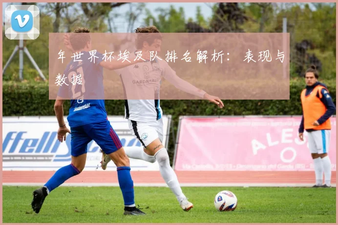 年世界杯埃及队排名解析:表现与数据