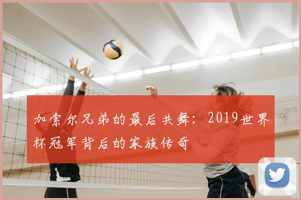 加索尔兄弟的最后共舞：2019世界杯冠军背后的家族传奇
