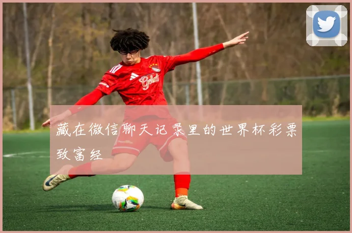 藏在微信聊天记录里的世界杯彩票致富经