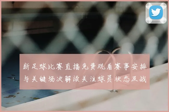 新足球比赛直播免费观看赛事安排与关键场次解读关注球员状态及战术对位信息