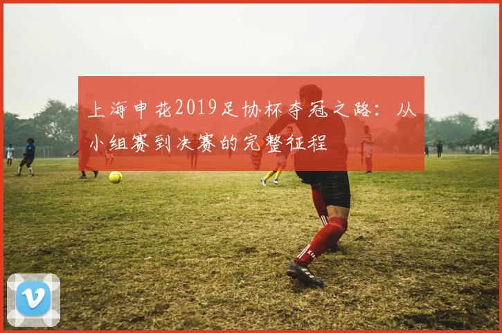 上海申花2019足协杯夺冠之路：从小组赛到决赛的完整征程
