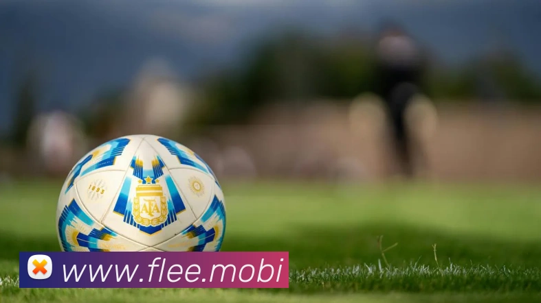 星空app官方登录入口APP 体育赛事宣传图